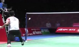 小羽毛球爆料视频,揭秘小羽毛球背后的故事